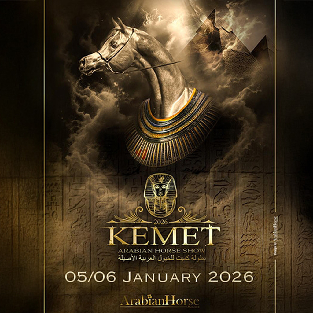 Promo Poster